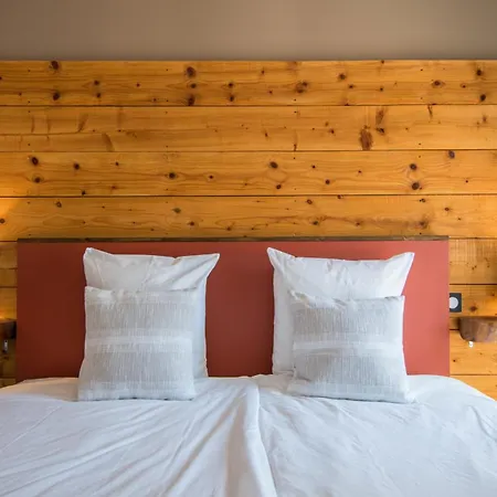 Le Serenite Duplex Centre-ville Fibre Apartment